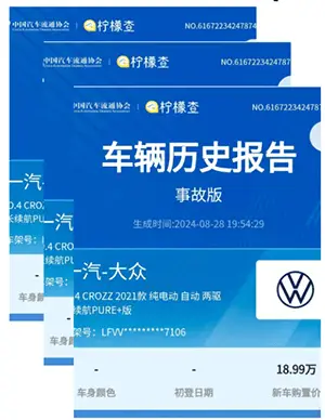 在线车辆历史报告示例屏幕