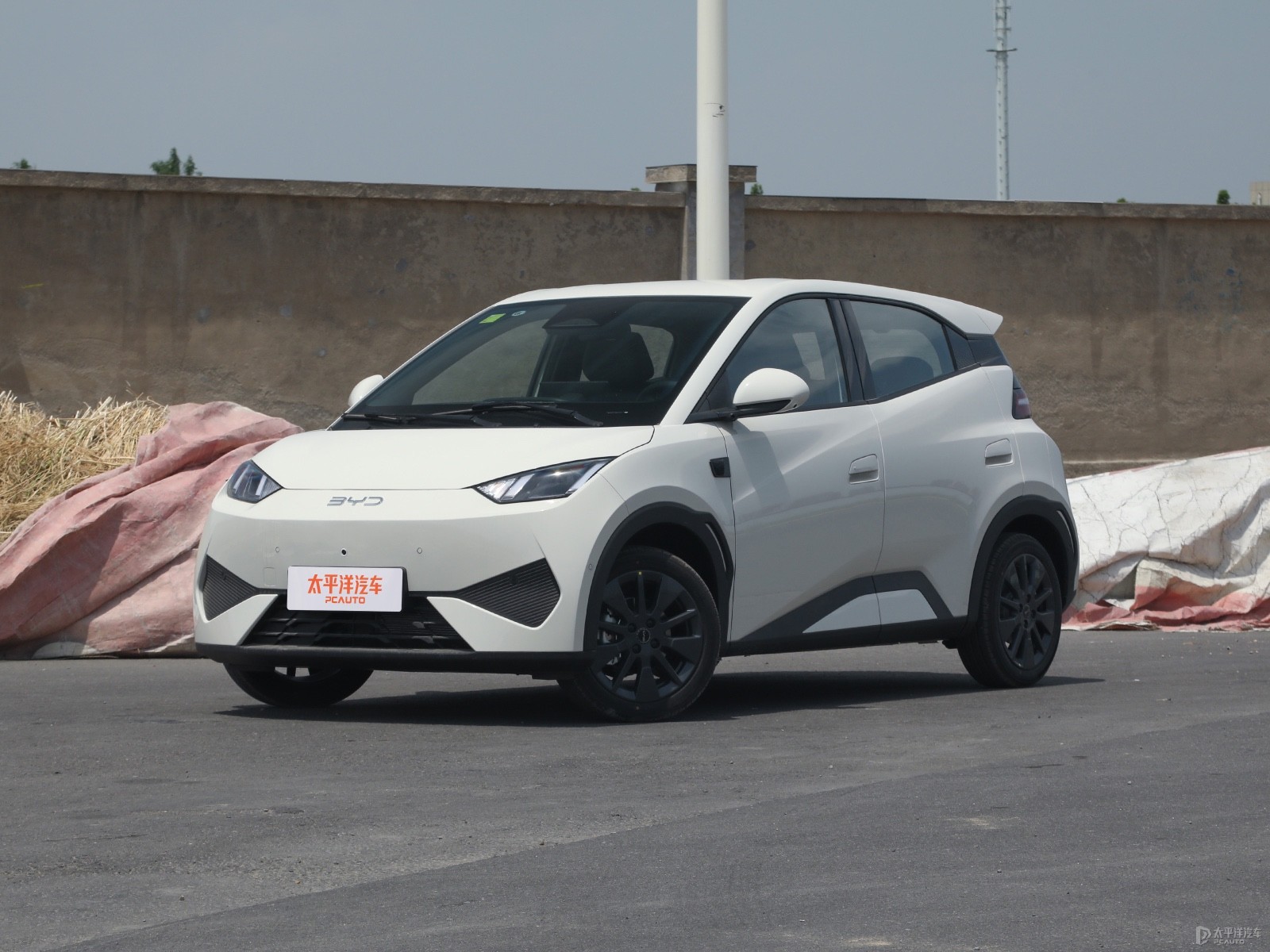 BYD Seagull Freedom Edition — Main listing photograph. Image 1 of 3. Authorized new car for export from China.